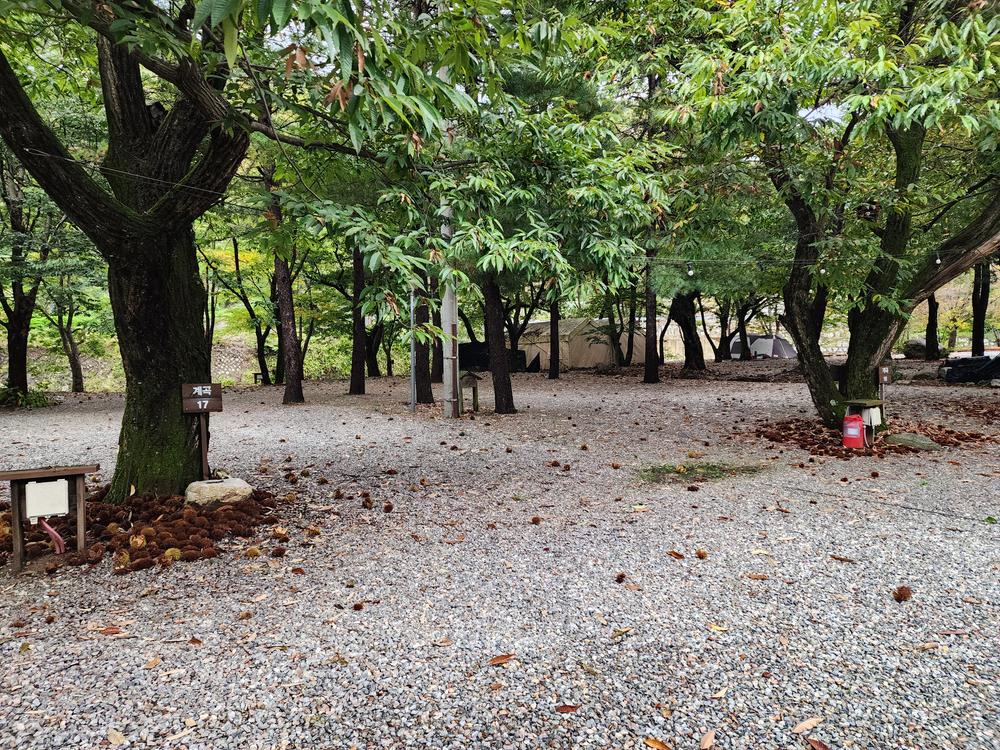 유명산밸리 캠핑장