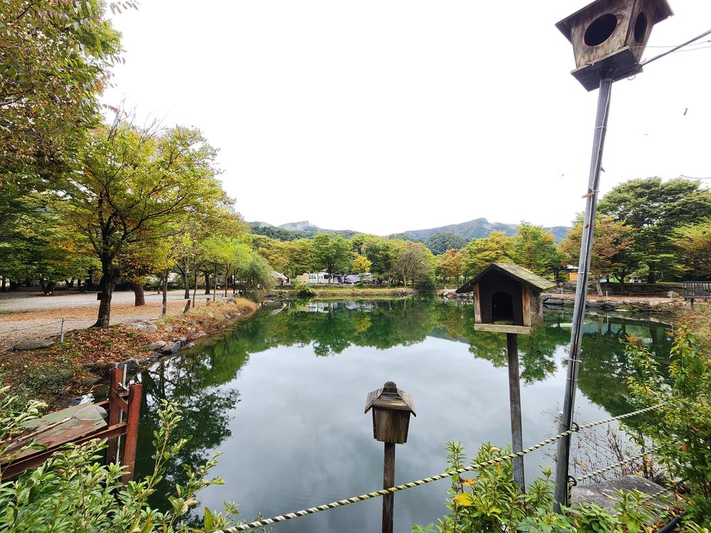 유명산밸리 캠핑장