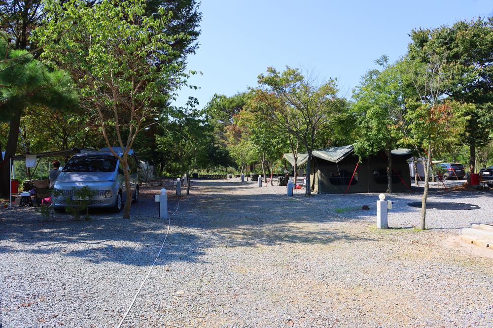 곡성달빛 야영장