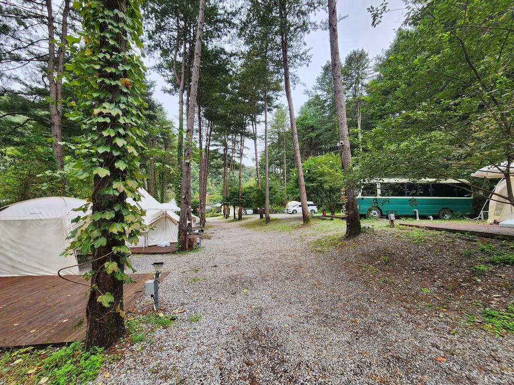 리틀 포레스트 캠핑