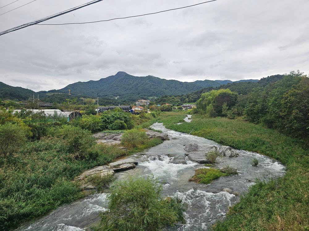 리틀 포레스트 캠핑