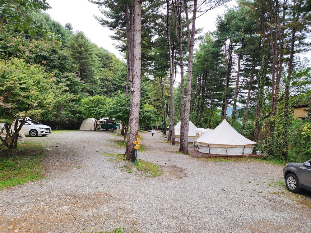 리틀 포레스트 캠핑