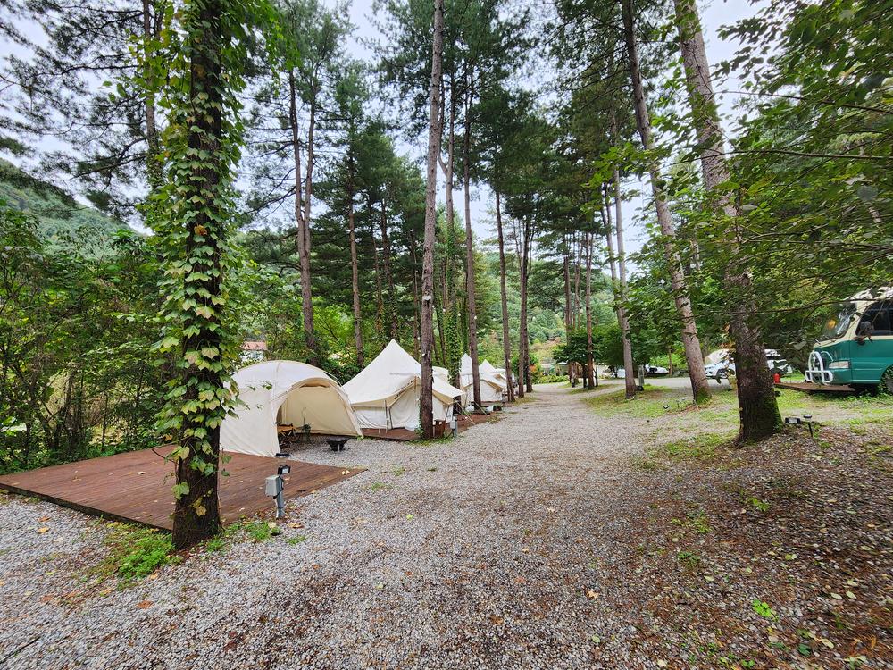 리틀 포레스트 캠핑