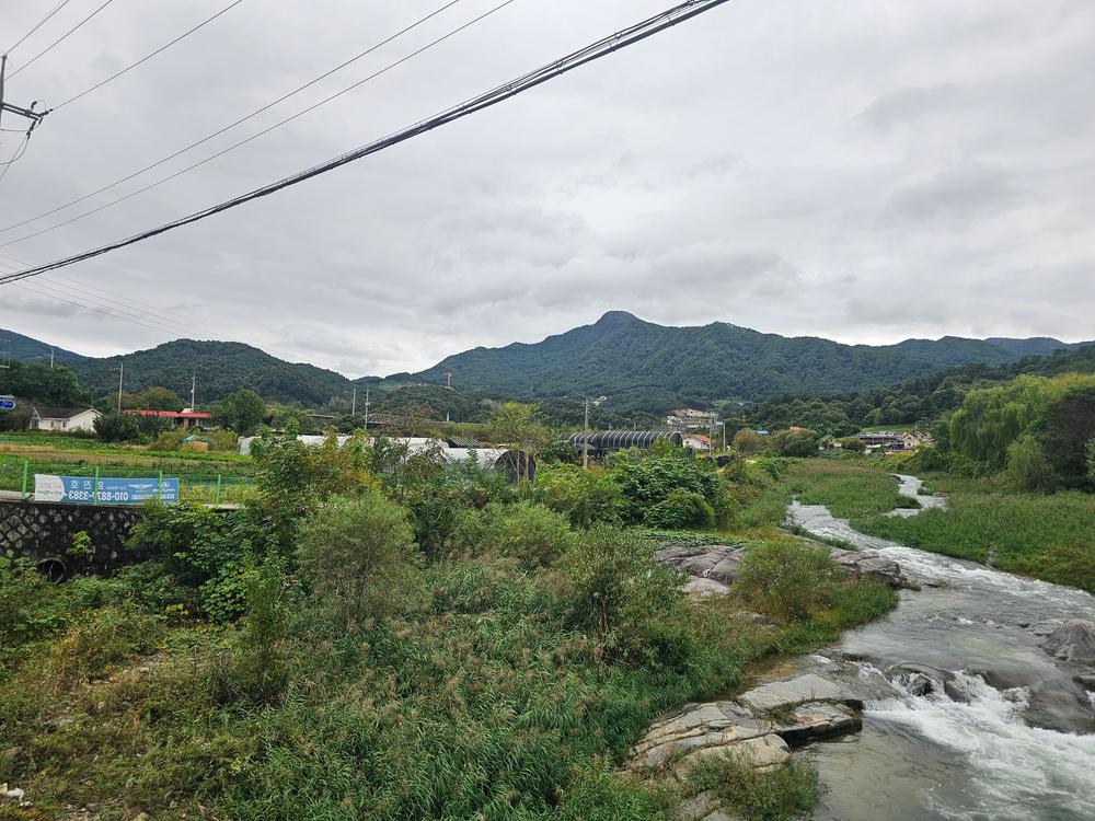 리틀 포레스트 캠핑