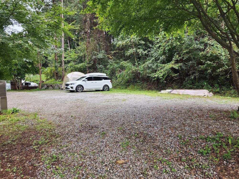 리틀 포레스트 캠핑