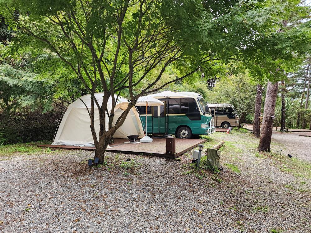 리틀 포레스트 캠핑