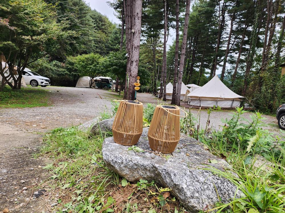 리틀 포레스트 캠핑