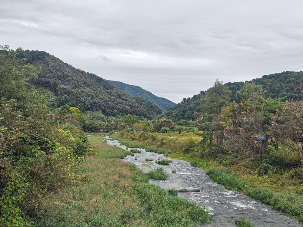 리틀 포레스트 캠핑