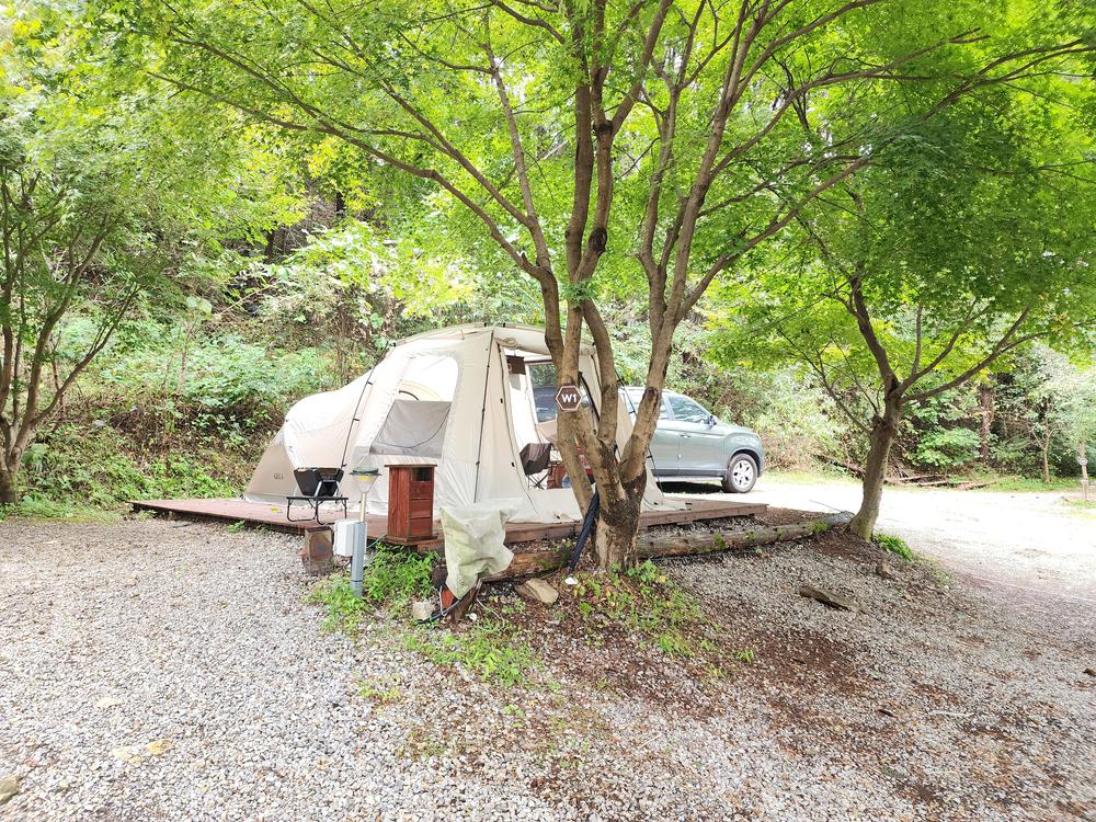 리틀 포레스트 캠핑