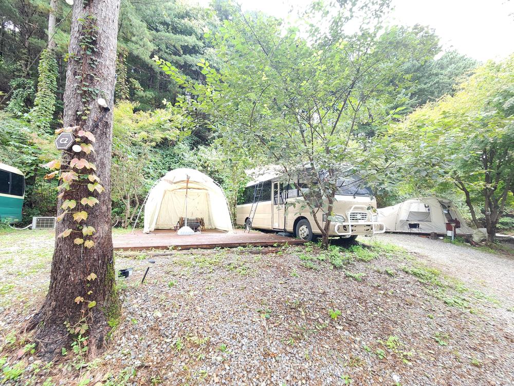 리틀 포레스트 캠핑