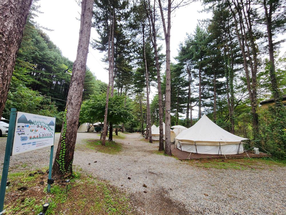 리틀 포레스트 캠핑