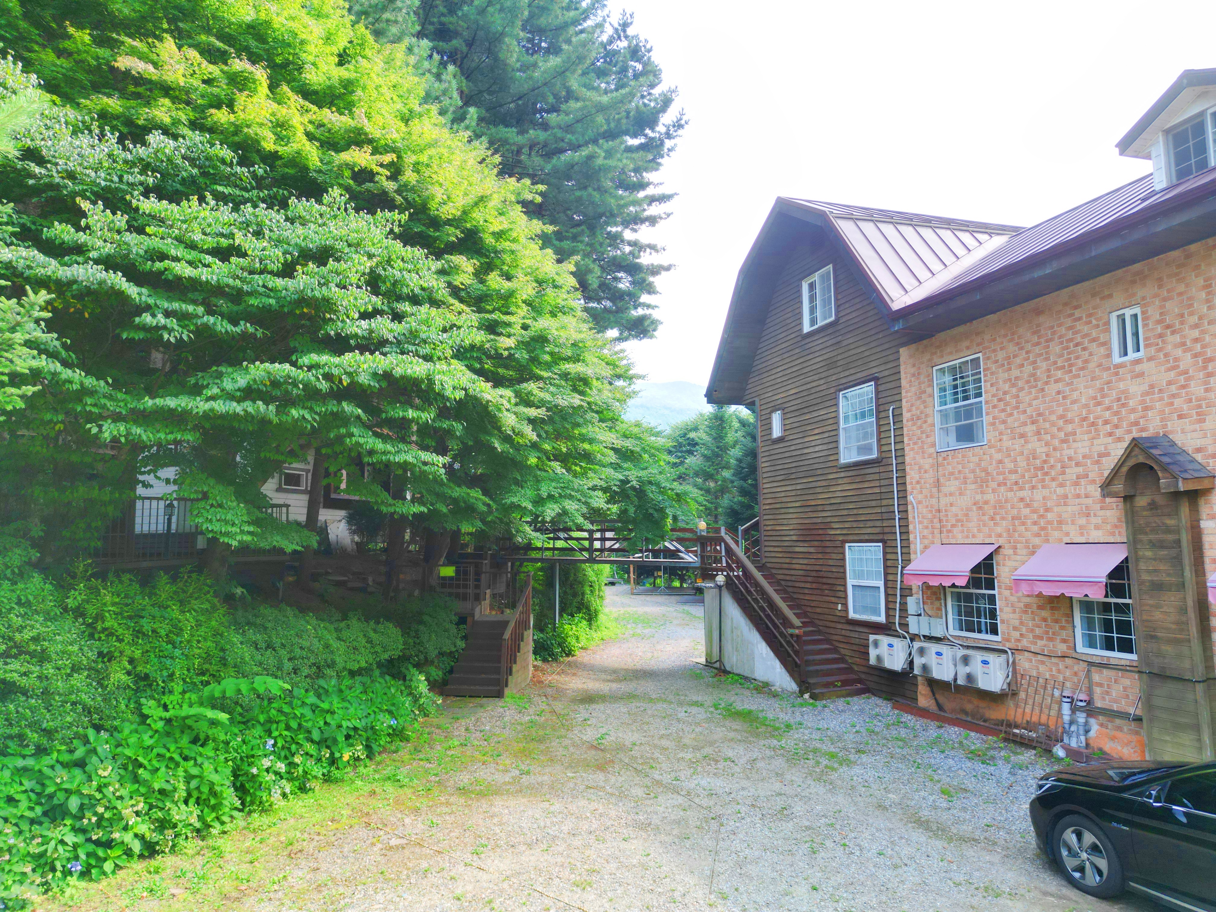 유명산 258