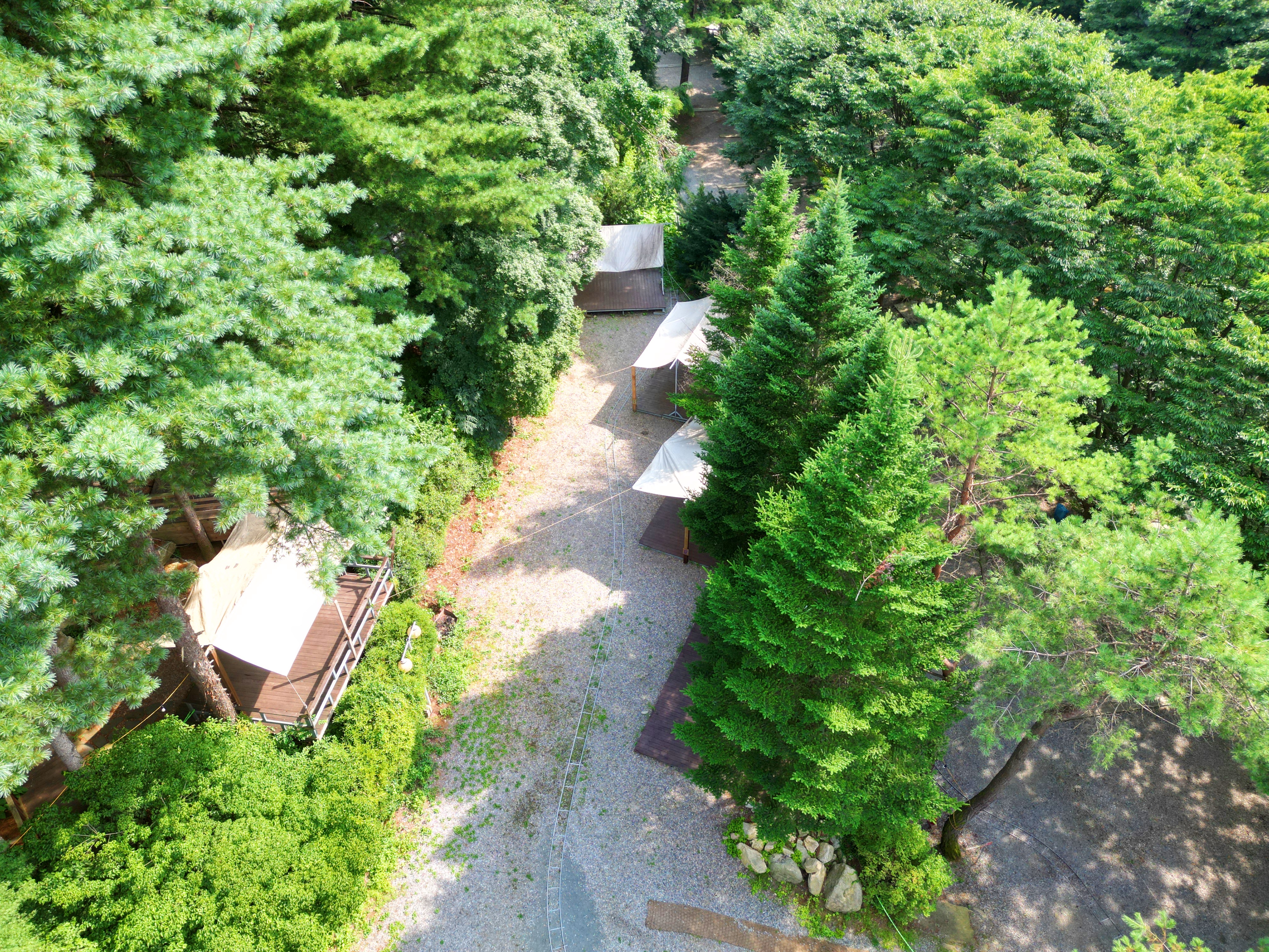 유명산 258