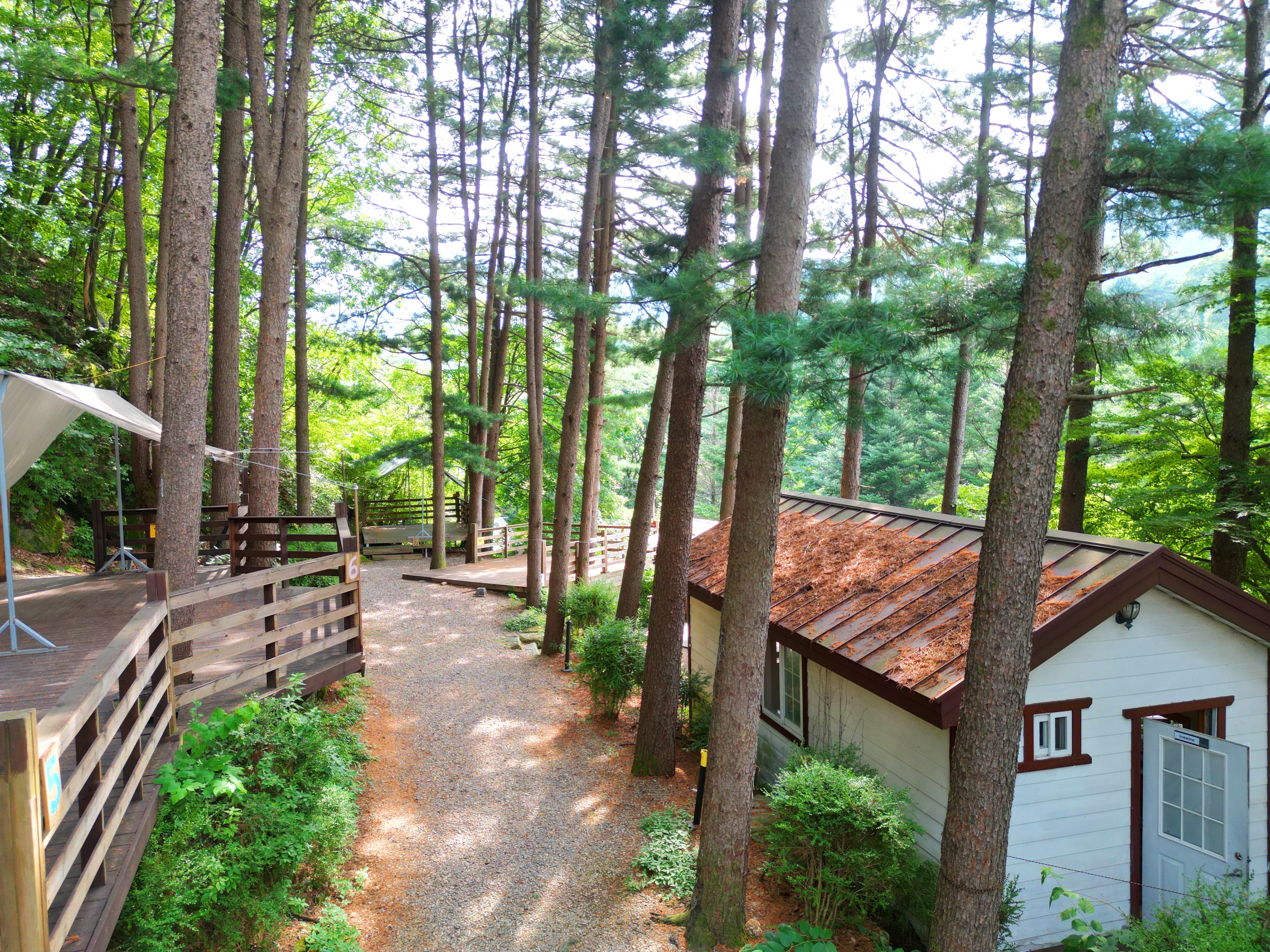 유명산 258
