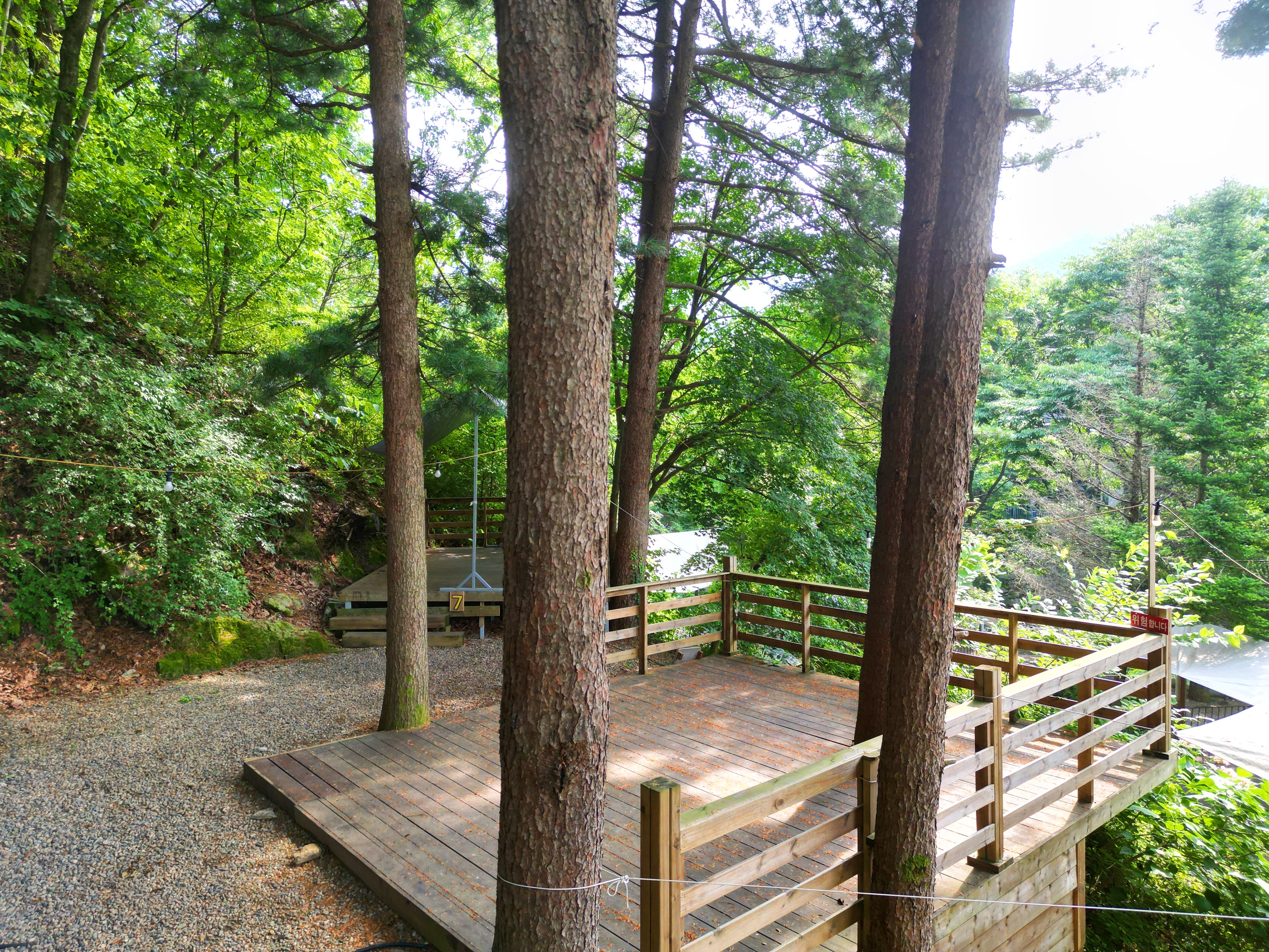 유명산 258
