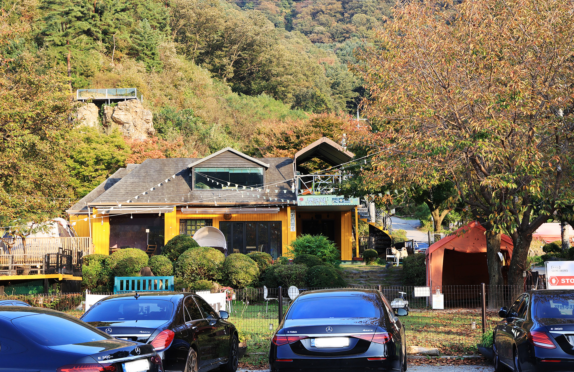펫밀리 캠프 온
