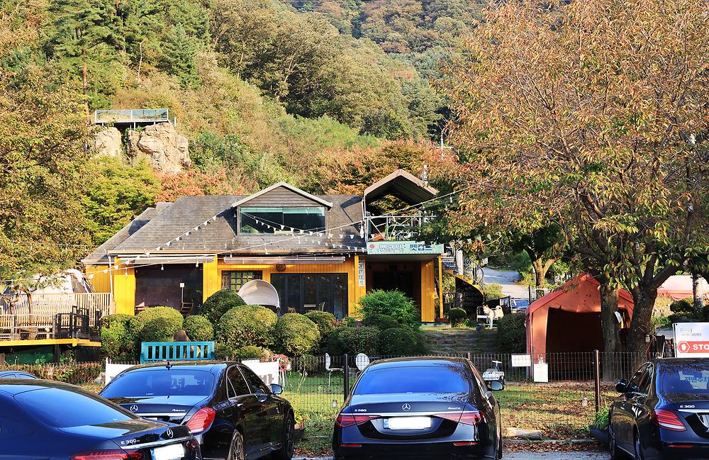 펫밀리애견파크타운