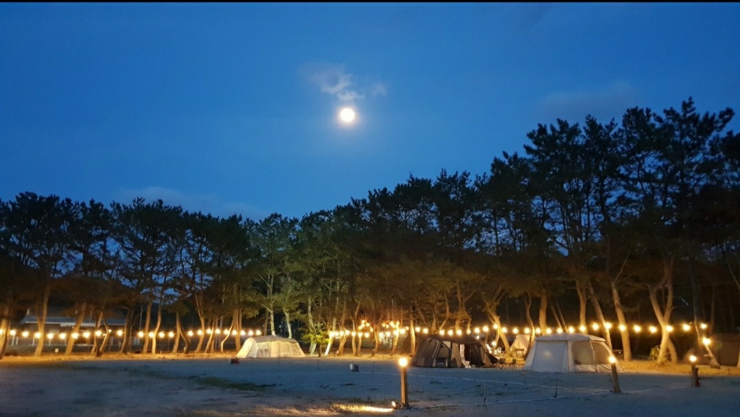 펜캠2495체험학교