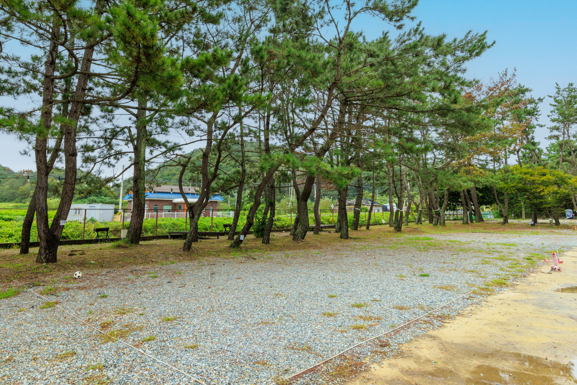 펜캠2495체험학교