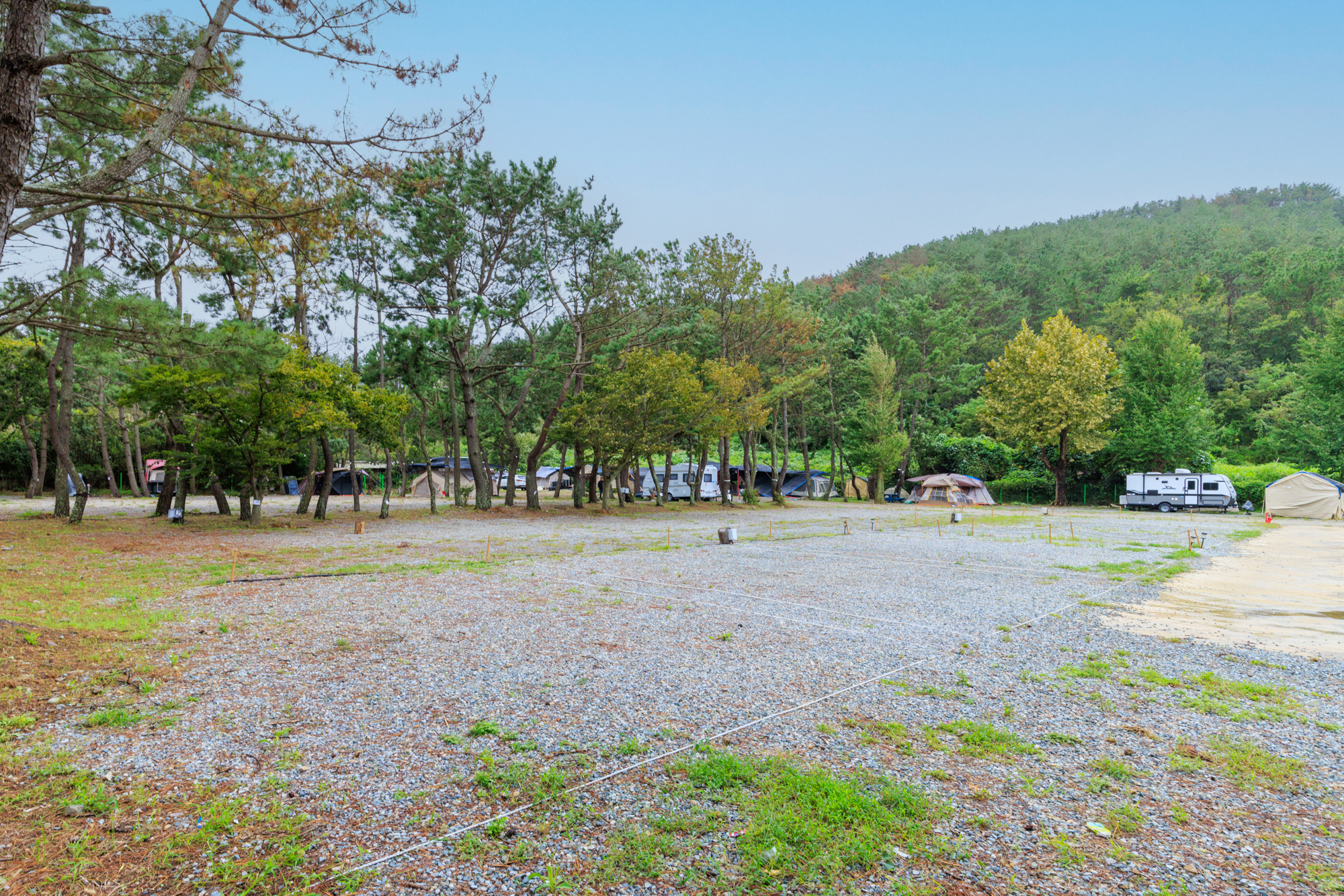 펜캠2495체험학교