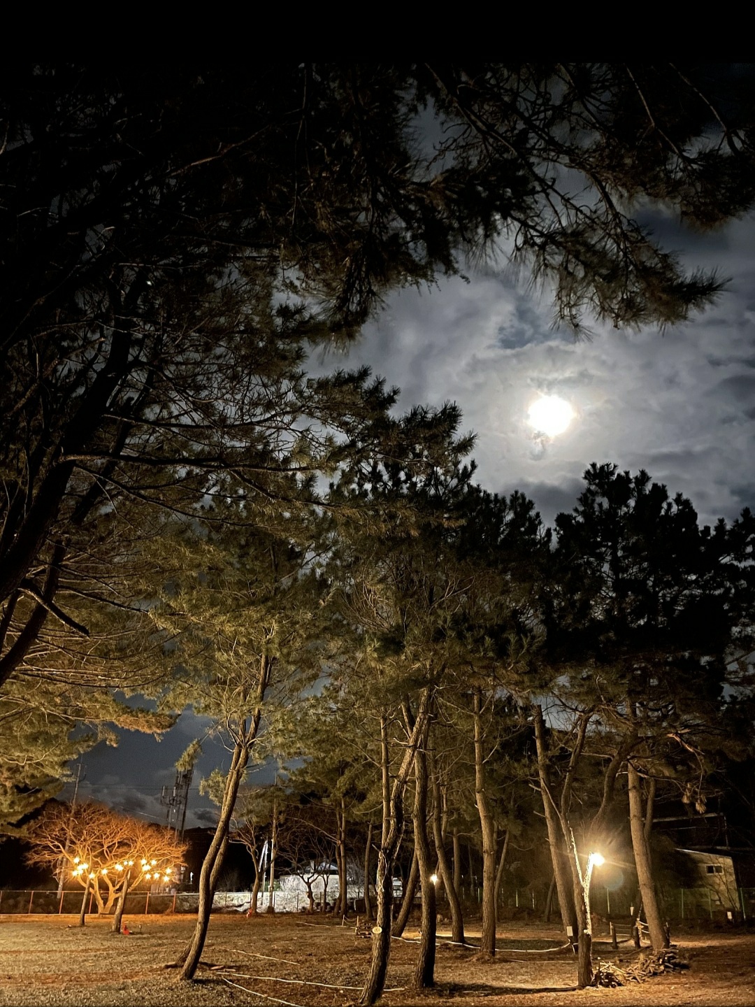 펜캠2495체험학교