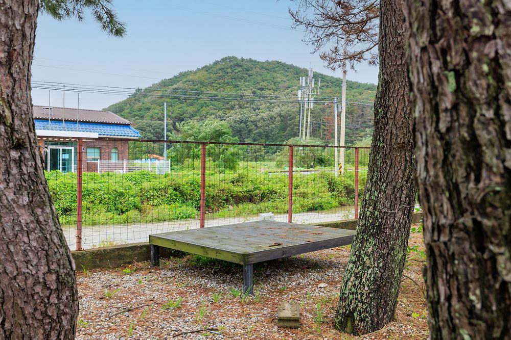 펜캠2495체험학교