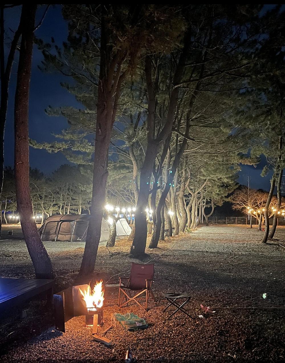 펜캠2495체험학교