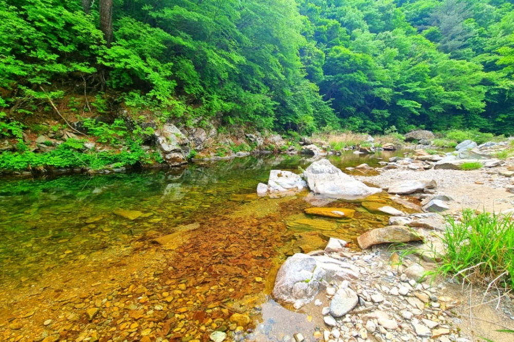 또바기캠핑장