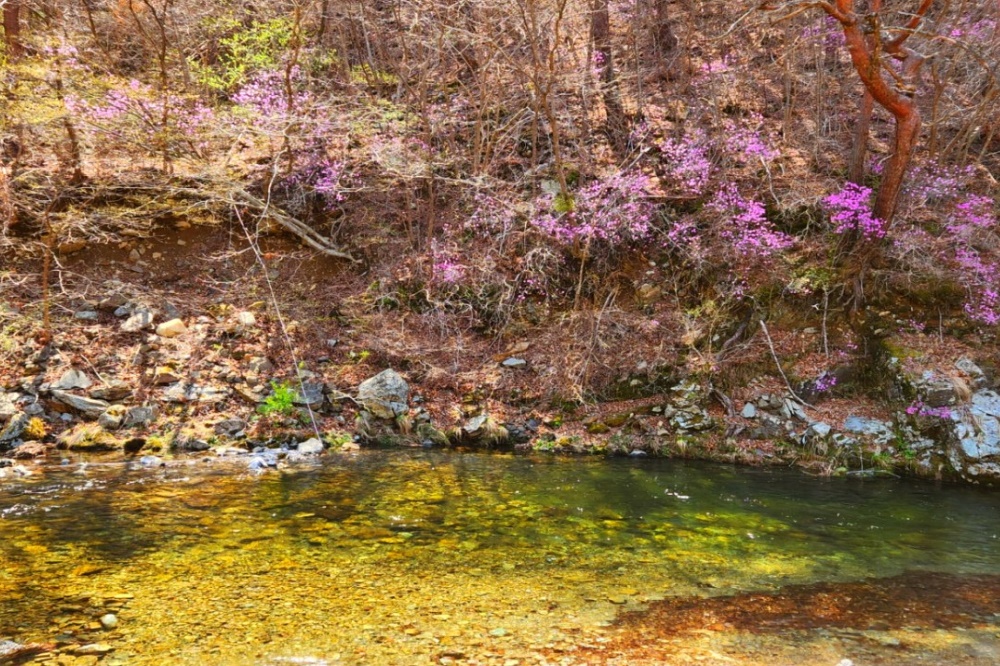 또바기캠핑장