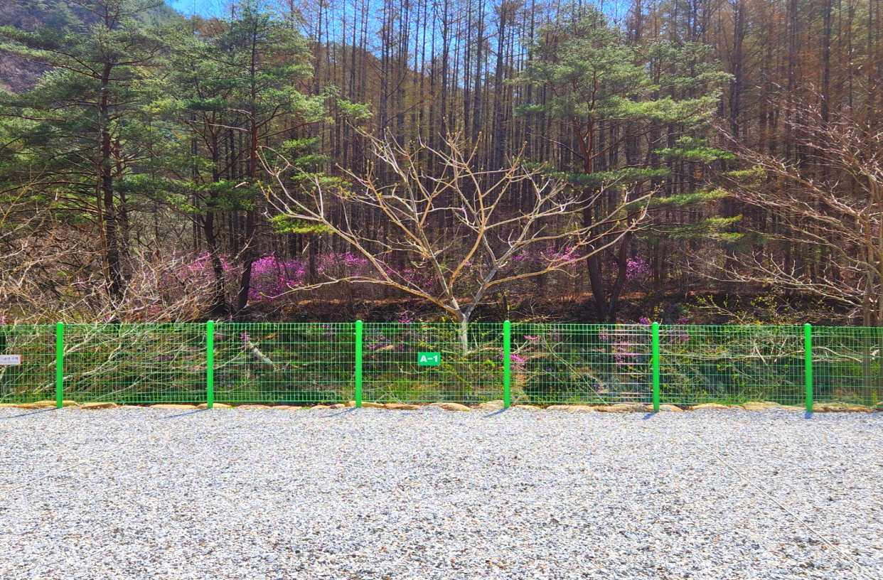 또바기캠핑장