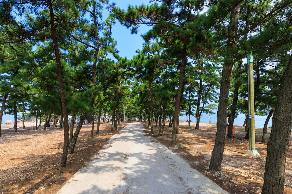 서산벌천포캠핑장