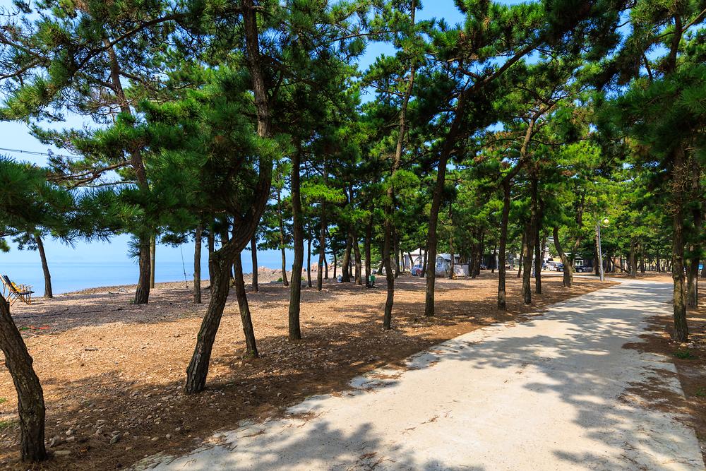 서산벌천포캠핑장