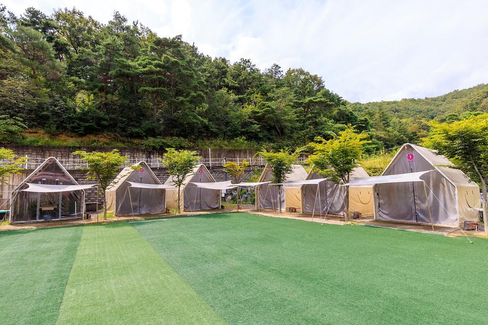 camp 80