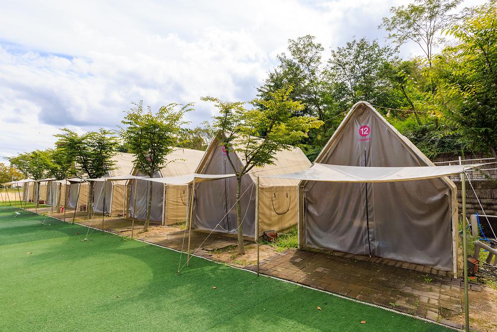 camp 80