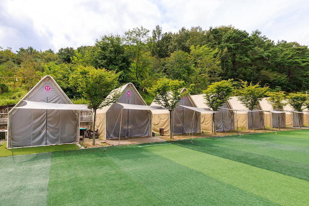 camp 80