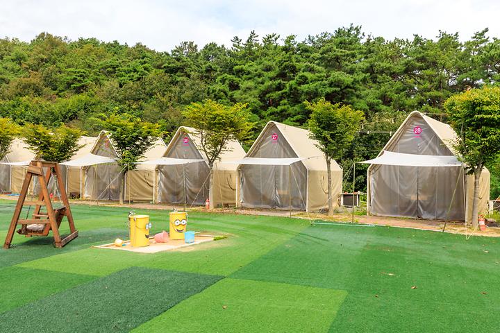 camp 80 메인 이미지