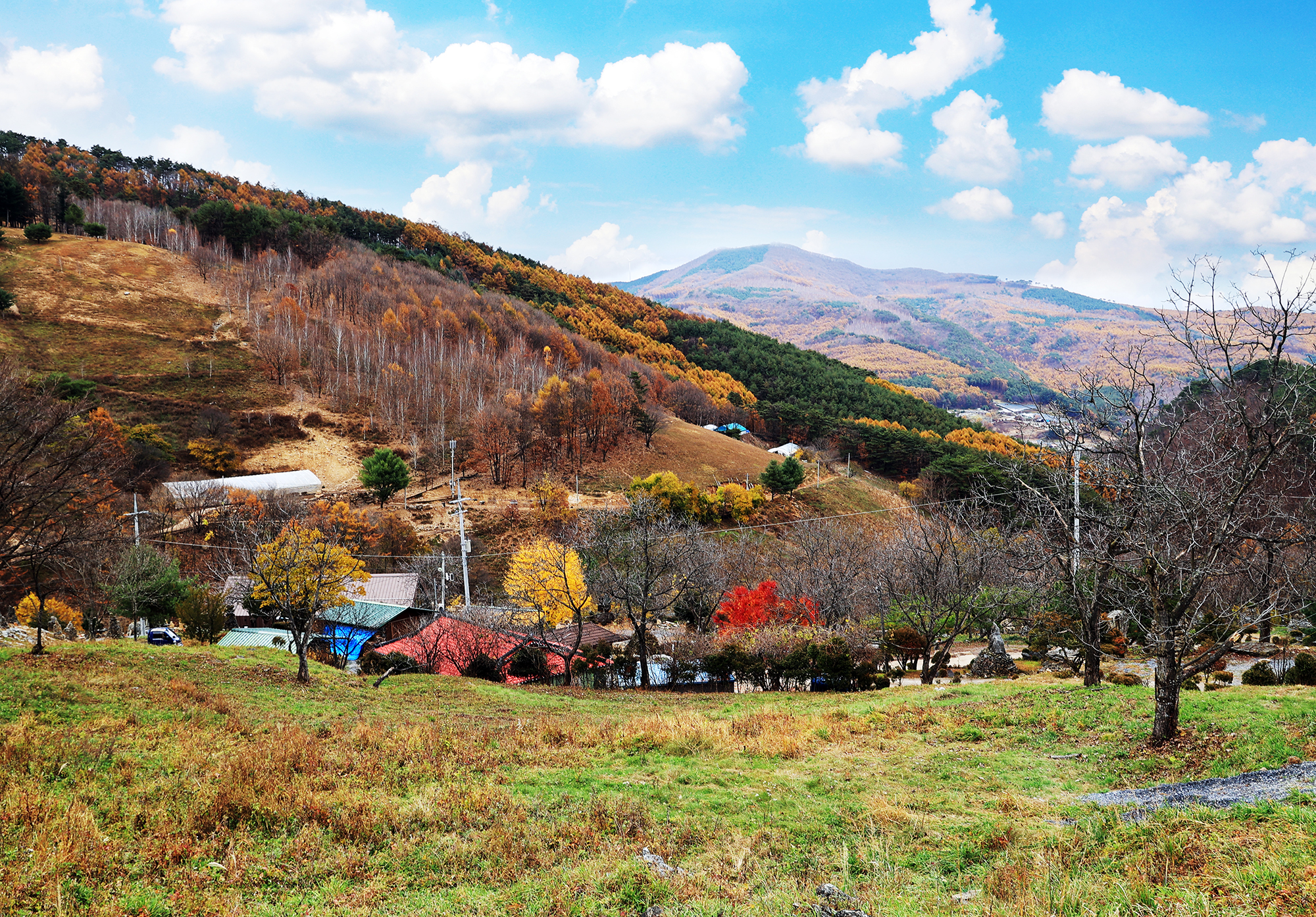 산너미목장