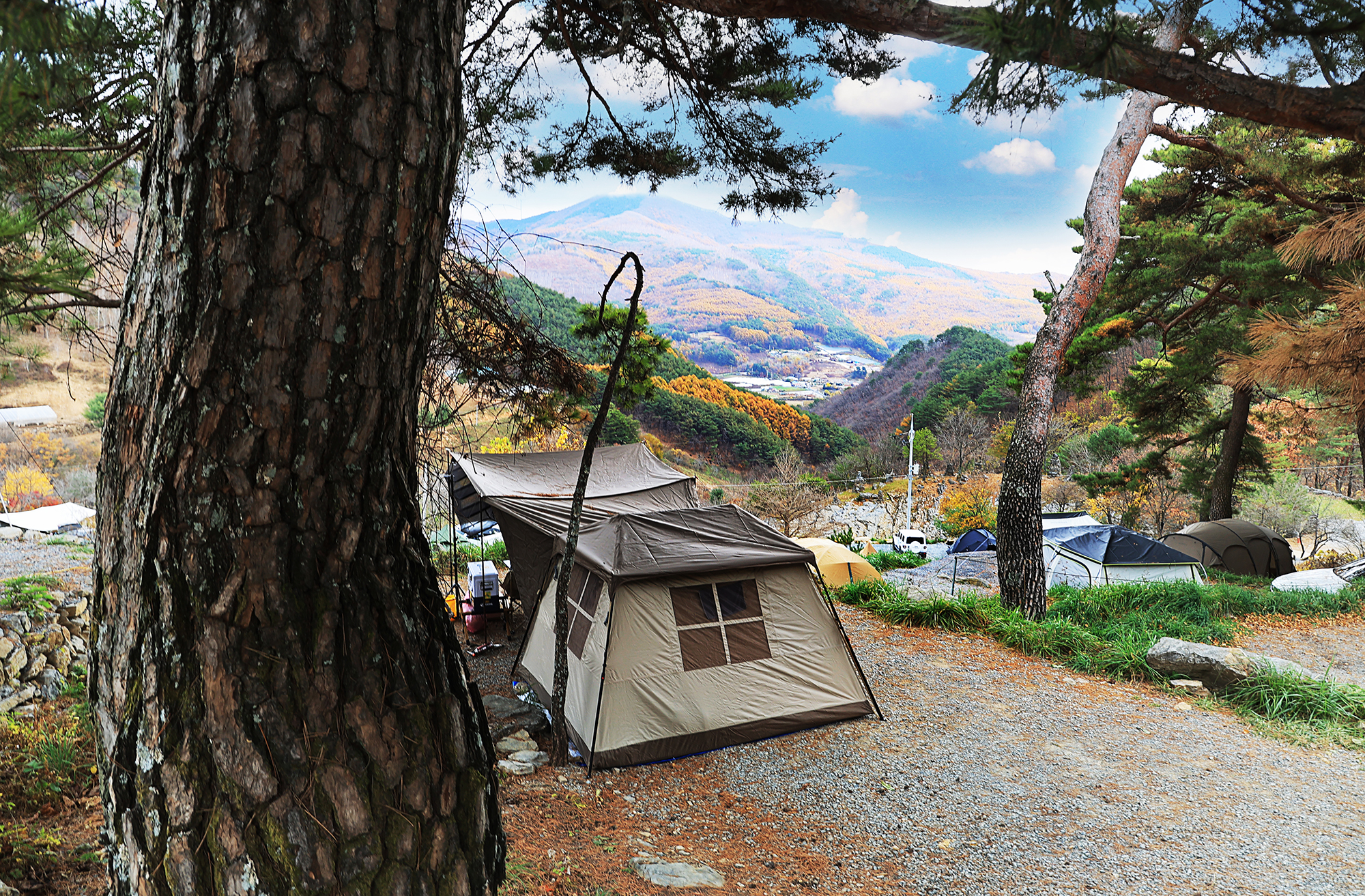 산너미목장