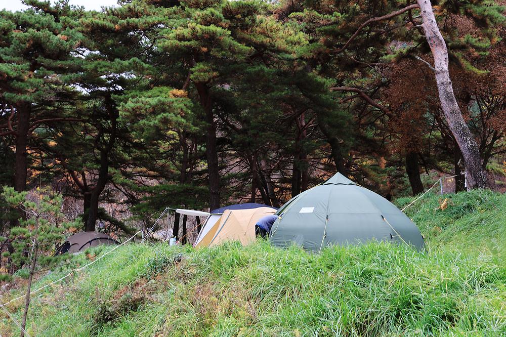 산너미목장