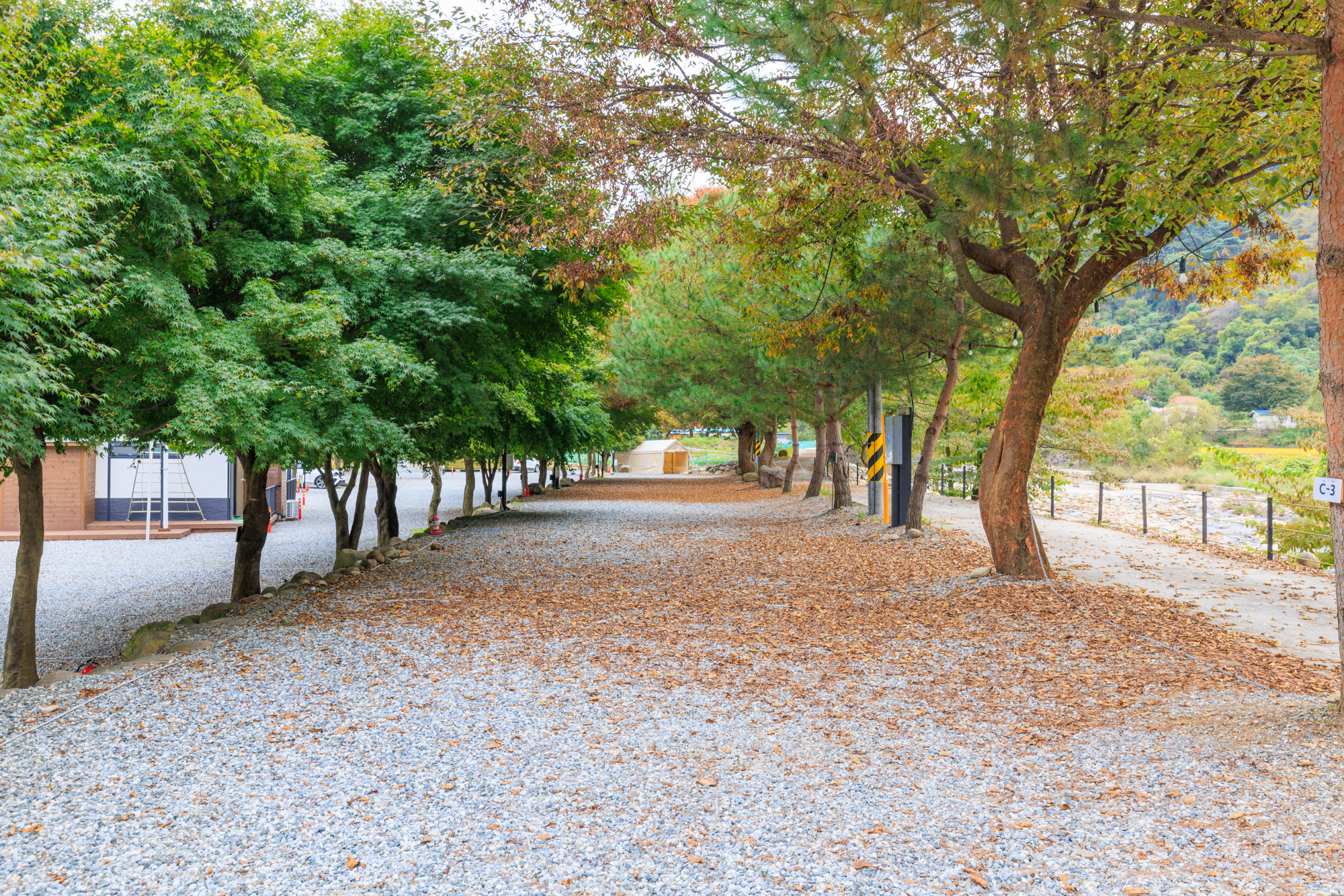 포레스트캐빈앤캠프