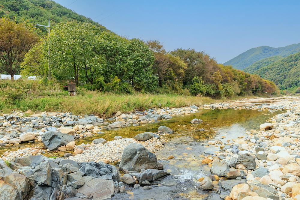 포레스트캐빈앤캠프