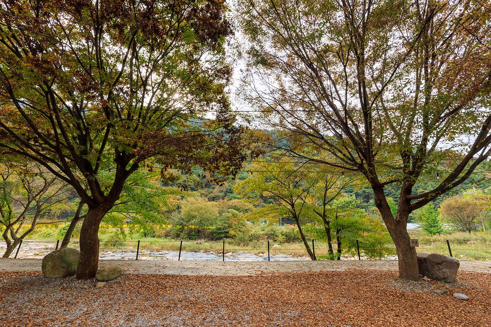 포레스트캐빈앤캠프