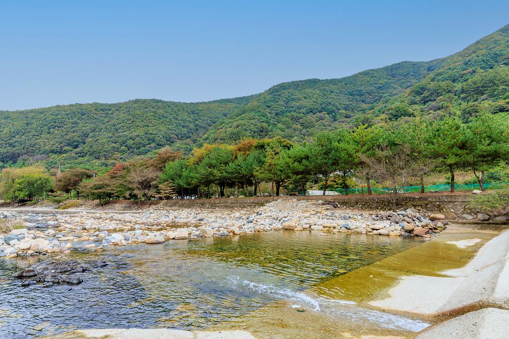 포레스트캐빈앤캠프