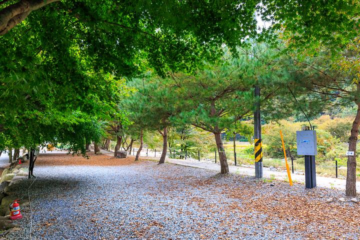 포레스트캐빈앤캠프 메인 이미지