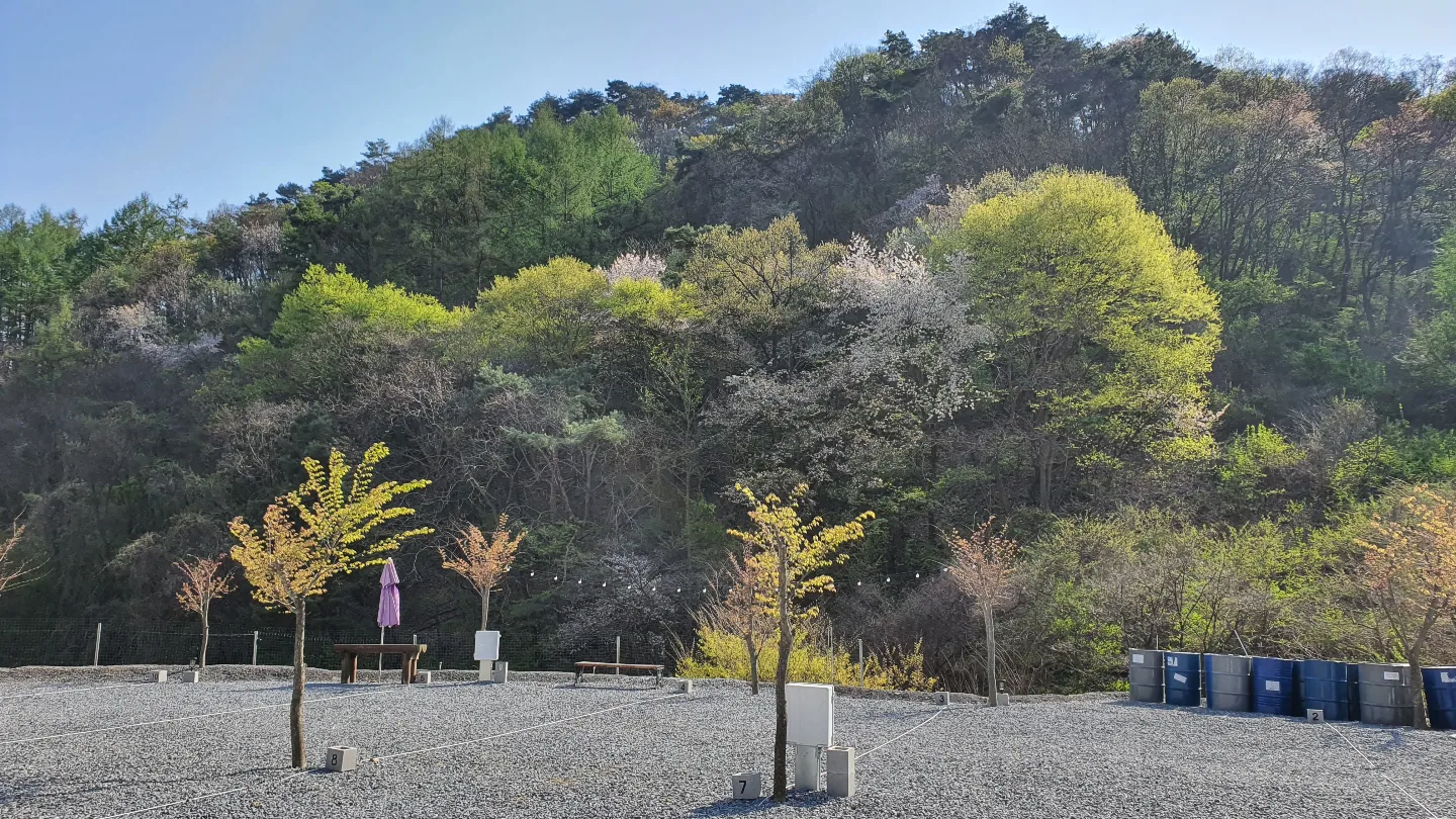 두더지CAMP