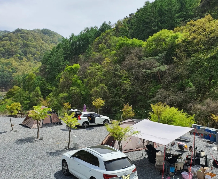 두더지CAMP
