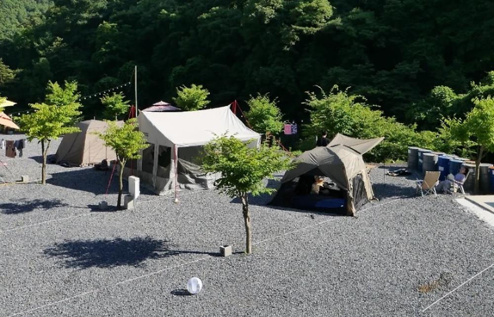 두더지CAMP