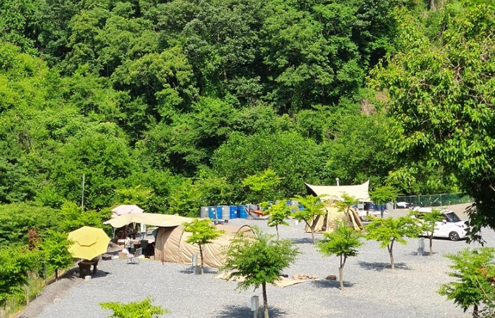 두더지CAMP