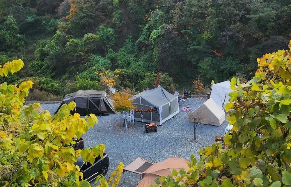 두더지CAMP