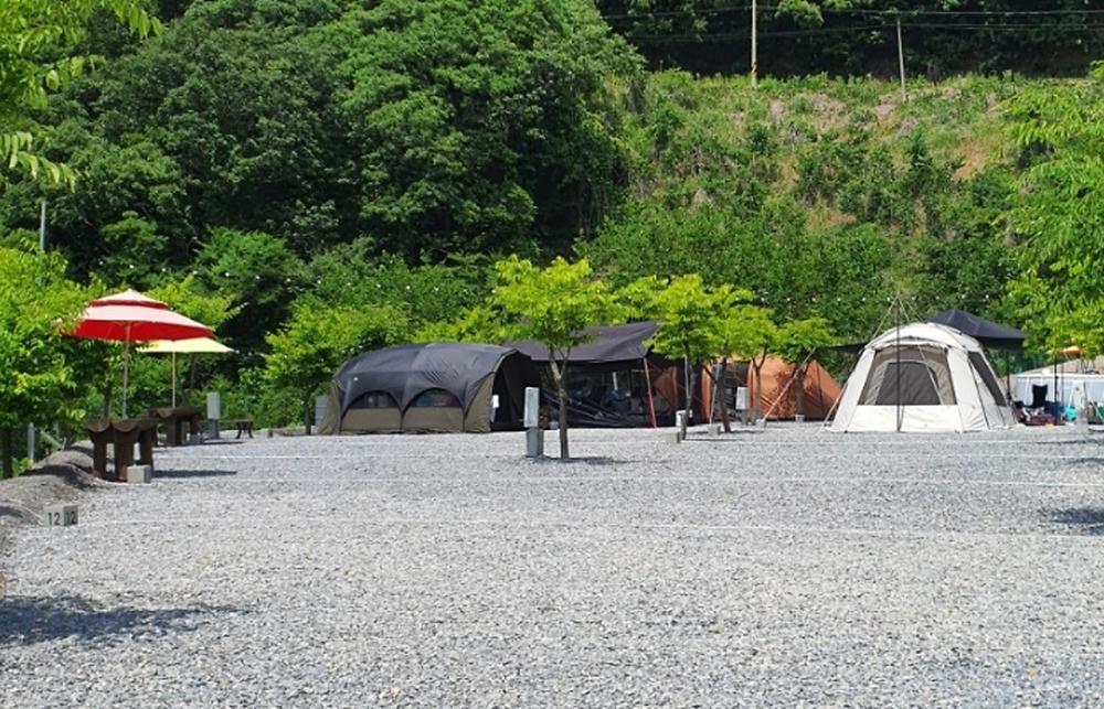 두더지CAMP